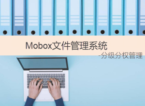 企业文件管理软件-实现分级分权文档安全管控