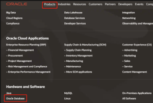 在Windows2016上部署Oracle11g