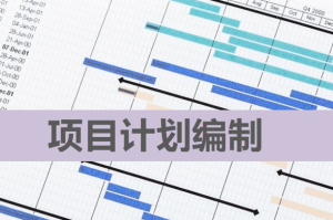 项目计划的Excel文件编制说明