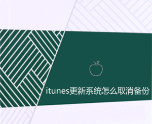 苹果itunes更新系统怎么取消备份