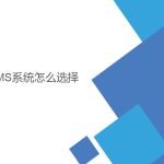 wms系统怎么选择? wms系统怎么选择?