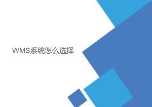 wms系统怎么选择？
