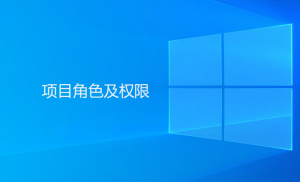 Gungho系统内项目角色及权限相关描述