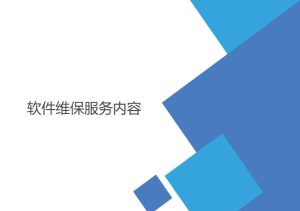 软件维保服务内容